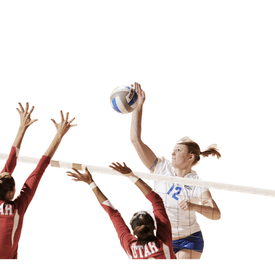 世界杯预测简介